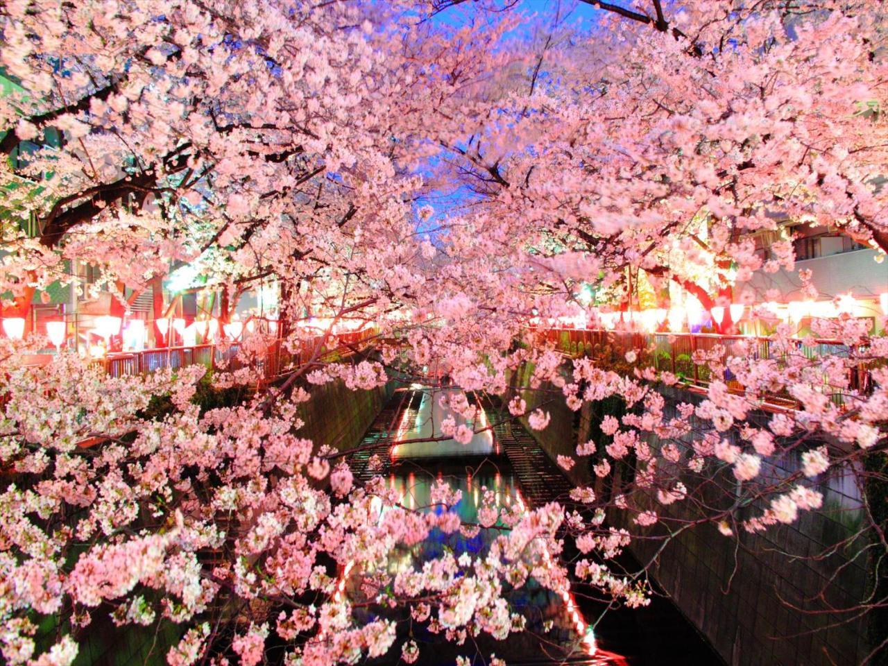 Coto Tokyo Shibuya 4 Apartment ภายนอก รูปภาพ